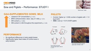 Sow and Piglets – Performance: STUDY I
28
Schuh et al., 2022
GAA-SUPPLEMENTED SOWS: MILK
• colostrum CP concentration (p = 0.01)
• BRIX (refractrometer) value (day 21 milk) (p < 0.01)
• DM content (p = 0.064)
• DM content in milk throughout the experiment (p > 0.05)
Normal (left) and growth
restricted piglet (right), Hales et
al., 2013
Normal (left) and growth restricted
piglet (right), Schneider, 2020
PIGLETS
• Control: Higher (p = 0.08) number of piglets with < 1.5
kg at birth
• GAA: Less (p = 0.01) IUGR piglets
PERFORMANCE
• No significant differences in body weight losses
• Significantly higher feed intake of Control sows in
early lactation
 