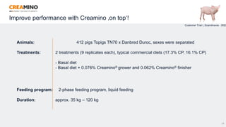 Improve performance with Creamino ‚on top‘!
29
Animals: 412 pigs Topigs TN70 x Danbred Duroc, sexes were separated
Treatments: 2 treatments (9 replicates each), typical commercial diets (17.3% CP, 16.1% CP)
- Basal diet
- Basal diet + 0.076% Creamino® grower and 0.062% Creamino® finisher
Feeding program: 2-phase feeding program, liquid feeding
Duration: approx. 35 kg – 120 kg
Customer Trial I, Scandinavia - 2022
 
