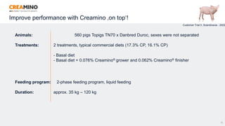 31
Customer Trial II, Scandinavia - 2022
Animals: 560 pigs Topigs TN70 x Danbred Duroc, sexes were not separated
Treatments: 2 treatments, typical commercial diets (17.3% CP, 16.1% CP)
- Basal diet
- Basal diet + 0.076% Creamino® grower and 0.062% Creamino® finisher
Feeding program: 2-phase feeding program, liquid feeding
Duration: approx. 35 kg – 120 kg
Improve performance with Creamino ‚on top‘!
 