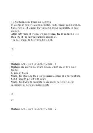 4.3 Culturing and Counting Bacteria
Microbes in nature exist in complex, multispecies communities,
but for detailed studies they must be grown separately in pure
culture.
After 120 years of trying, we have succeeded in culturing less
than 1% of the microorganisms around us.
The vast majority has yet to be tamed.
‹#›
1
Bacteria Are Grown in Culture Media – 1
Bacteria are grown in culture media, which are of two main
types:
Liquid or broth
Useful for studying the growth characteristics of a pure culture
Solid (usually gelled with agar)
Useful for trying to separate mixed cultures from clinical
specimens or natural environments
‹#›
2
Bacteria Are Grown in Culture Media – 2
 