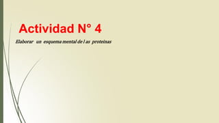 Actividad N° 4
Elaborar un esquema mental de l as proteinas
 