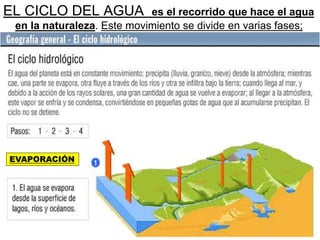 EL CICLO DEL AGUA es el recorrido que hace el agua
en la naturaleza. Este movimiento se divide en varias fases;
EVAPORACIÓN
 