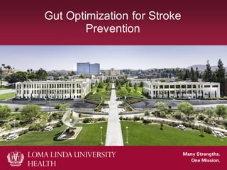 Gut Optimization for Stroke
Prevention
 