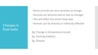 4.food_chains_and_food_webs ste 7.pptx