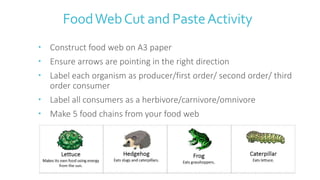 Activity
On your A3 food web answer the following questions
1. Propose what would happen to the vole
population if the gra...