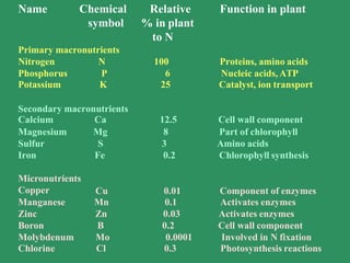 Name Function in plant
Chemical
symbol
Relative
% in plant
to N
Primary macronutrients
Nitrogen N 100 Proteins, amino acids
Phosphorus P 6 Nucleic acids, ATP
Potassium K 25 Catalyst, ion transport
Secondary macronutrients
Calcium Ca 12.5 Cell wall component
Magnesium Mg 8 Part of chlorophyll
Sulfur S 3 Amino acids
Iron Fe 0.2 Chlorophyll synthesis
Micronutrients
Copper Cu 0.01 Component of enzymes
Manganese Mn 0.1 Activates enzymes
Zinc Zn 0.03 Activates enzymes
Boron B 0.2 Cell wall component
Molybdenum Mo 0.0001 Involved in N fixation
Chlorine Cl 0.3 Photosynthesis reactions
 