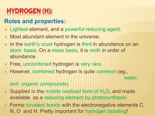HYDROGEN (H):
Roles and properties:
 Lightest element, and a powerful reducing agent.
 Most abundant element in the universe.
 In the earth's crust hydrogen is third in abundance on an
atom basis. On a mass basis, it is ninth in order of
abundance .
 Free, uncombined hydrogen is very rare.
 However, combined hydrogen is quite common (eg.,
water,
and organic compounds).
 Supplied in the mobile oxidized form of H2O, and made
available as a reducing element by photosynthesis.
 Forms covalent bonds with the electronegative elements C,
N, O and H. Pretty important for hydrogen bonding!
 