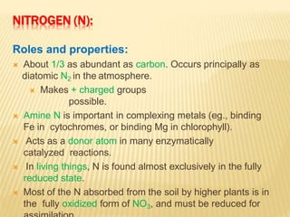 NITROGEN (N):
Roles and properties:
 About 1/3 as abundant as carbon. Occurs principally as
diatomic N2 in the atmosphere.
 Makes + charged groups
possible.
 Amine N is important in complexing metals (eg., binding
Fe in cytochromes, or binding Mg in chlorophyll).
 Acts as a donor atom in many enzymatically
catalyzed reactions.
 In living things, N is found almost exclusively in the fully
reduced state.
 Most of the N absorbed from the soil by higher plants is in
the fully oxidized form of NO3, and must be reduced for
 