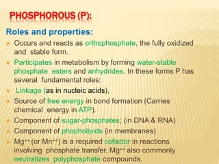 PHOSPHOROUS (P):
Roles and properties:
 Occurs and reacts as orthophosphate, the fully oxidized
and stable form.
 Participates in metabolism by forming water-stable
phosphate esters and anhydrides. In these forms P has
several fundamental roles:
 Linkage (as in nucleic acids),
 Source of free energy in bond formation (Carries
chemical energy in ATP).
 Component of sugar-phosphates; (in DNA & RNA)
 Component of phopholipids (in membranes)
 Mg++ (or Mn++) is a required cofactor in reactions
involving phosphate transfer. Mg++ also commonly
neutralizes polyphosphate compounds.
 
