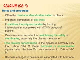 CALCIUM (CA++):
Roles and properties:
 Often the most abundant divalent cation in plants.
 Important component of cell walls.
 It stabilizes the polysaccharides by forming
intermolecular complexes with -COO- groups of
pectins.
 Calcium is also important for maintaining the safety of
membranes, especially the plasma membrane.
 Free calcium concentration in the cytosol is normally very
low, about 10-7 M. Some hormonal or environmental
signals raise the free Ca++ concentration to 10-6 to 10-5
M.
 Because changes in calcium are associated with hormonal
 