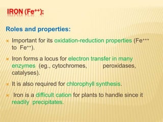 IRON (Fe++):
Roles and properties:
 Important for its oxidation-reduction properties (Fe+++
to Fe++).
 Iron forms a locus for electron transfer in many
enzymes (eg., cytochromes, peroxidases,
catalyses).
 It is also required for chlorophyll synthesis.
 Iron is a difficult cation for plants to handle since it
readily precipitates.
 