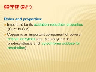 COPPER (CU++):
Roles and properties:
 Important for its oxidation-reduction properties
(Cu++ to Cu+)
 Copper is an important component of several
critical enzymes (eg., plastocyanin for
photosynthesis and cytochrome oxidase for
respiration).
 