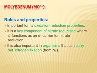 MOLYBDENUM (MO6+):
Roles and properties:
 Important for its oxidation-reduction properties.
 It is a key component of nitrate reductase where
it functions as an e- carrier for nitrate
reduction.
 It is also important in organisms that can carry
out nitrogen fixation (from N2).
 