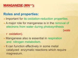 MANGANESE (MN++):
Roles and properties:
 Important for its oxidation-reduction properties.
 A major role for manganese is in the removal of
electrons from water during photosynthesis
(wate
r oxidation).
 Manganese also is essential in respiration
and nitrogen metabolism.
 It can function effectively in some metal
catalyzed enzymatic reactions which require
magnesium.
 
