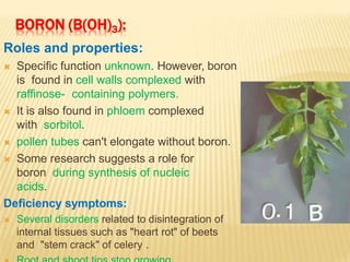BORON (B(OH)3):
Roles and properties:
 Specific function unknown. However, boron
is found in cell walls complexed with
raffinose- containing polymers.
 It is also found in phloem complexed
with sorbitol.
 pollen tubes can't elongate without boron.
 Some research suggests a role for
boron during synthesis of nucleic
acids.
Deficiency symptoms:
 Several disorders related to disintegration of
internal tissues such as "heart rot" of beets
and "stem crack" of celery .
 