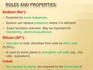 ROLES AND PROPERTIES:
Sodium (Na+):
 Essential for some halophytes.
 Sodium can replace potassium where it is deficient.
 Exact functions unknown. May be important for
maintaining electrical equilibrium.
Silicon (Si4+):
 Abundant in soils. Absorbed from soils as silicic acid
(H4SiO4).
 Is used by some plants to strengthen cell walls (eg., rice,
oats, equisetum).
Cobalt:
 Not required by plants, but required by the bacteroids of
 