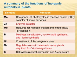 Element Function
Mn Component of photosynthetic reaction center (PSII);
cofactor of some enzymes
Zn Enzyme cofactor
Mo Required for nitrogen fixation and nitrate (NO3
-) Reduction
B Mediates ca utilization, nucleic acid synthesis,
and lignin synthesis
Ni Constituent of the enzyme urease
Na Regulates osmotic balance in some plants;
required for C4 photosynthesis
Si Cell wall structural element in rice & equisetum
A summary of the functions of inorganic
nutrients in plants.
 