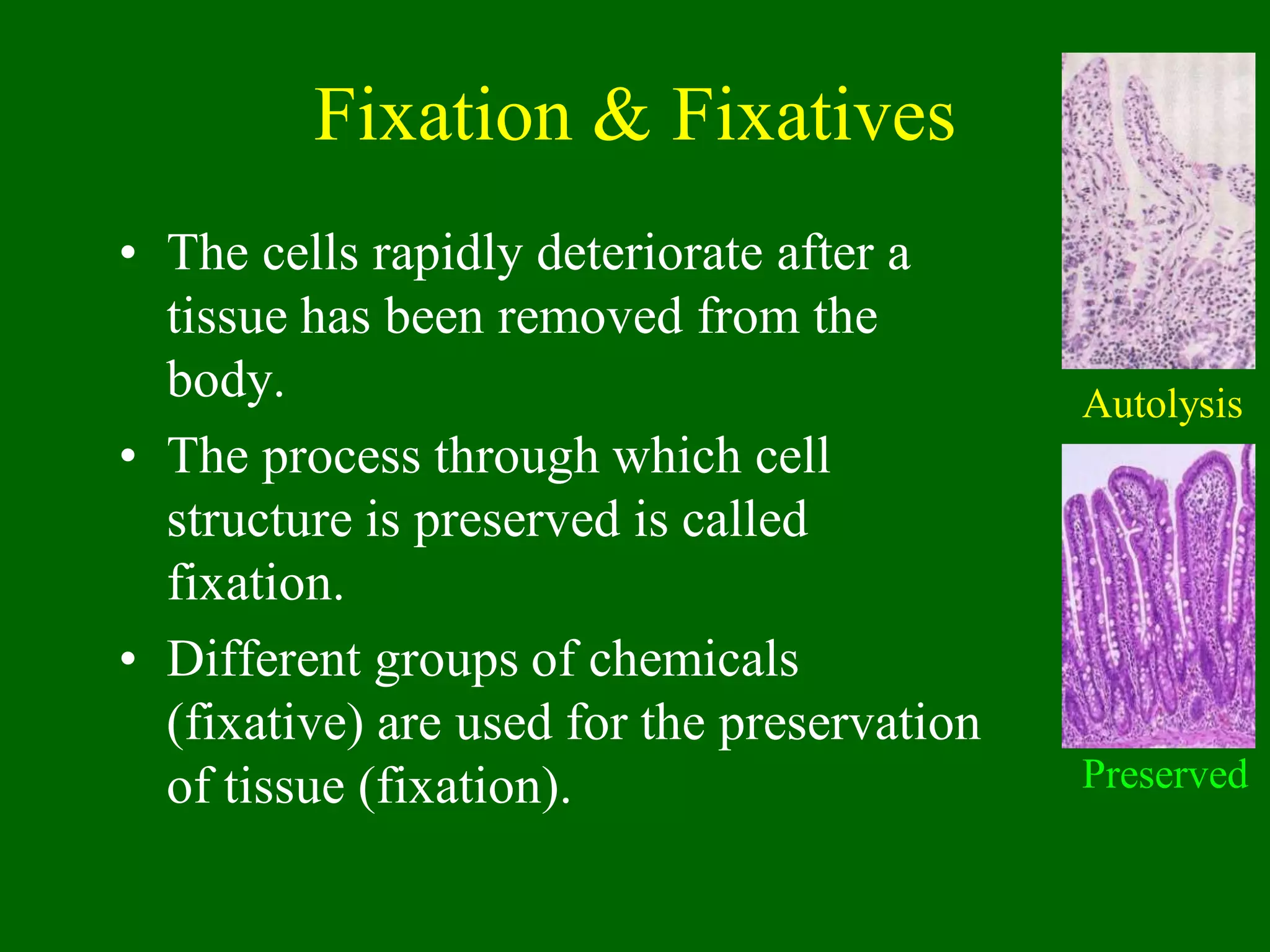 Fixation & Fixatives
• The cells rapidly deteriorate after a
tissue has been removed from the
body.
• The process through which cell
structure is preserved is called
fixation.
• Different groups of chemicals
(fixative) are used for the preservation
of tissue (fixation).
Autolysis
Preserved
 