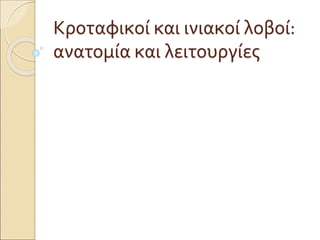 Κροταφικοί και ινιακοί λοβοί:
ανατομία και λειτουργίες
 