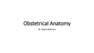 Obstetrical Anatomy
M. Zakria Rehman
 