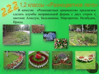 1,2 классы -«Разноцветное лето»
В качестве «Разноцветных орнаментов» предлагаем
сделать клумбы неправильной формы с двух сторон с
цветами Алиссум, Бальзамины, Маргаритки, Незабудки,
Ирисы.

 