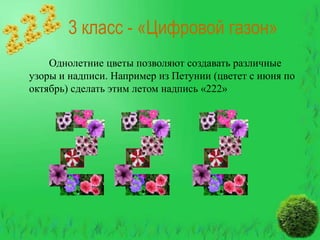 3 класс - «Цифровой газон»
Однолетние цветы позволяют создавать различные
узоры и надписи. Например из Петунии (цветет с июня по
октябрь) сделать этим летом надпись «222»

 