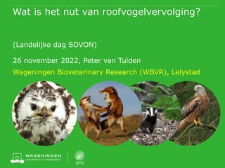 Wat is het nut van roofvogelvervolging?
(Landelijke dag SOVON)
26 november 2022, Peter van Tulden
Wageningen Bioveterinary Research (WBVR), Lelystad
 