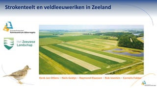 Strokenteelt en veldleeuweriken in Zeeland
Henk Jan Ottens – Niels Godijn – Raymond Klaassen – Rob Voesten – Cornelis Fokker
 