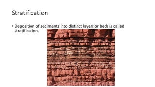 Stratification
• Deposition of sediments into distinct layers or beds is called
stratification.
 