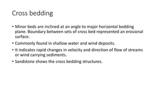 Cross bedding
• Minor beds are inclined at an angle to major horizontal bedding
plane. Boundary between sets of cross bed represented an erosional
surface.
• Commonly found in shallow water and wind deposits.
• It indicates rapid changes in velocity and direction of flow of streams
or wind carrying sediments.
• Sandstone shows the cross bedding structures.
 