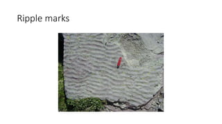Ripple marks
 