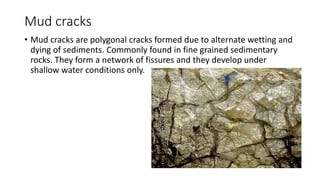 Mud cracks
• Mud cracks are polygonal cracks formed due to alternate wetting and
dying of sediments. Commonly found in fine grained sedimentary
rocks. They form a network of fissures and they develop under
shallow water conditions only.
 