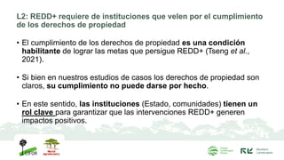 L2: REDD+ requiere de instituciones que velen por el cumplimiento
de los derechos de propiedad
• El cumplimiento de los de...
