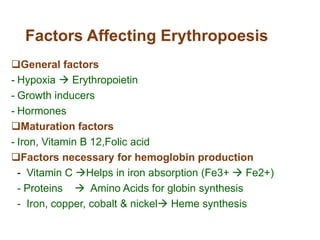 Factors Affecting Erythropoesis
General factors
- Hypoxia  Erythropoietin
- Growth inducers
- Hormones
Maturation factors
- Iron, Vitamin B 12,Folic acid
Factors necessary for hemoglobin production
- Vitamin C Helps in iron absorption (Fe3+  Fe2+)
- Proteins  Amino Acids for globin synthesis
- Iron, copper, cobalt & nickel Heme synthesis
 