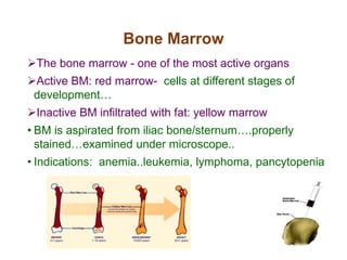 Bone Marrow
The bone marrow - one of the most active organs
Active BM: red marrow- cells at different stages of
development…
Inactive BM infiltrated with fat: yellow marrow
• BM is aspirated from iliac bone/sternum….properly
stained…examined under microscope..
• Indications: anemia..leukemia, lymphoma, pancytopenia
 
