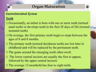 Organ Maturation
Gastrointestinal System
Teeth
O Occasionally, an infant is born with one or more teeth (termed
natal teet...