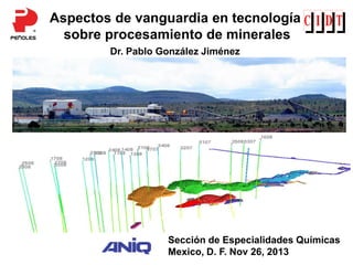 Aspectos de vanguardia en tecnología
sobre procesamiento de minerales
Reunión de Sinergias
Noviembre 2012
Dr. Pablo González Jiménez
Sección de Especialidades Químicas
Mexico, D. F. Nov 26, 2013
 
