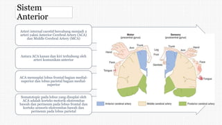 Sistem
Anterior
Arteri internal carotid bercabang menjadi 2
arteri yakni Anterior Cerebral Artery (ACA)
dan Middle Cerebral Artery (MCA)
Antara ACA kanan dan kiri terhubung oleh
arteri komunikan anterior
ACA mensuplai lobus frontal bagian medial-
superior dan lobus parietal bagian medial-
superior
Somatotopic pada lobus yang disuplai oleh
ACA adalah korteks motorik ekstremitas
bawah dan perineum pada lobus frontal dan
korteks sensoris ekstremitas bawah dan
perineum pada lobus parietal
 