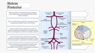 Sistem
Posterior
Sistem posterior dimulai dari percabangan
arteri subclavian yang membentuk cabang
arteri vertebra
Arteri vertebra kanan dan kiri menuju ke atas
bergabung menjadi satu arteri basiler
Arteri vertebra kanan dan kiri menuju ke
bawah bergabung menjadi satu anterior spinal
artery mensuplai 2/3 anterior medulla spinalis
Arteri vertebra kanan dan kiri bercabang
menuju ke bawah menjadi dua posterior spinal
artery mensuplai 1/3 posterior medulla spinalis
Arteri vertebra kanan dan kiri bercabang ke
lateral membentuk Posterior Inferior
Cerebellar Artery (PICA) mensuplai cerebellum
bagian inferior
 