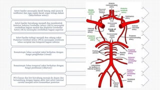 Arteri basiler mensuplai darah batang otak (pons &
midbrain) dan juga suplai darah organ telinga dalam
(labyrinthine artery)
Arteri basiler bercabang menjadi dua membentuk
Anterior Inferior Cerebellar Artery (AICA) mensuplai
cerebellum bagian medial dan Superior Cerebellar
Artery (SCA) mensuplai cerebellum bagian superior
Arteri basiler terbagi menjadi dua cabang yakni
Posterior Cerebral Artery (PCA) mensuplai cerebrum
lobus occipital dan temporal bagian inferior
Somatotopic lobus occipital yakni berkaitan dengan
fungsi penglihatan (visual)
Somatotopic lobus temporal yakni berkaitan dengan
fungsi pembauan (olfactory)
PCA kanan dan kiri bercabang menuju ke depan dan
bersambung dengan bagian akhir dari arteri internal
carotid menjadi arteri komunikan posterior
 