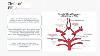 Circle of
Willis
Circle of willis terdiri dari ACA, arteri
komunikan anterior, bagian akhir internal
carotid, arteri komunikan posterior dan PCA
Aliran darah pada circle of willis terjadi secara
dua arah, sehingga jika ada sumbatan pada
ACA atau PCA setelah percabangan, aliran
darah dapat dikompensasi dengan aliran pada
circle of willis
Sering terjadi aneurysm pada arteri
komunikan anterior, akhir arteri carotid dan
proksimal MCA
 