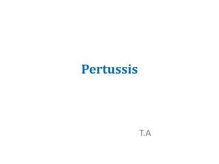 Pertussis
T.A
 