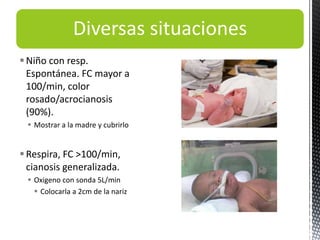 Diversas situaciones
Niño con resp.
Espontánea. FC mayor a
100/min, color
rosado/acrocianosis
(90%).
 Mostrar a la madre y cubrirlo
Respira, FC >100/min,
cianosis generalizada.
 Oxigeno con sonda 5L/min
 Colocarla a 2cm de la nariz
 