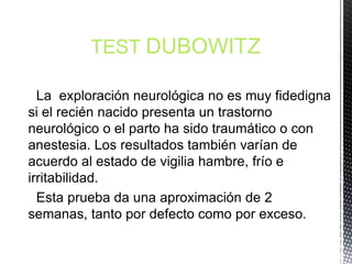La exploración neurológica no es muy fidedigna
si el recién nacido presenta un trastorno
neurológico o el parto ha sido traumático o con
anestesia. Los resultados también varían de
acuerdo al estado de vigilia hambre, frío e
irritabilidad.
Esta prueba da una aproximación de 2
semanas, tanto por defecto como por exceso.
TEST DUBOWITZ
 