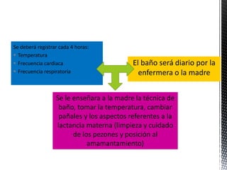Se deberá registrar cada 4 horas:
 Temperatura
 Frecuencia cardiaca
 Frecuencia respiratoria
El baño será diario por la
enfermera o la madre
Se le enseñara a la madre la técnica de
baño, tomar la temperatura, cambiar
pañales y los aspectos referentes a la
lactancia materna (limpieza y cuidado
de los pezones y posición al
amamantamiento)
 