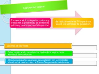 Las mas de las veces
Evitar región anal y no retirar los dedos de la vagina hasta
terminada la exploración
El numero de partos vaginales tiene relación con la morbilidad
infecciosa! mas en caso de Rotura Temprana de membranas
Es valorar el tipo de pelvis materna y
descartar la posibilidad de estrechez
pélvica y desproporción feto-pélvica.
Se realiza mediante TV a partir de
las 33- 35 semanas de gestación.
 