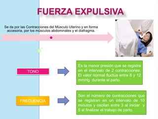 FUERZA EXPULSIVA
Se da por las Contracciones del Músculo Uterino y en forma
accesoria, por los músculos abdominales y el diafragma.
TONO
Es la menor presión que se registra
en el intervalo de 2 contracciones.
El valor normal fluctúa entre 8 y 12
mmHg durante el parto.
FRECUENCIA
Son el número de contracciones que
se registran en un intervalo de 10
minutos y oscilan entre 3 al iniciar y
5 al finalizar el trabajo de parto.
 