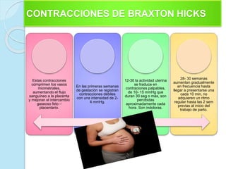 Estas contracciones
comprimen los vasos
miometriales,
aumentando el flujo
sanguíneo a la placenta
y mejoran el intercambio
gaseoso feto –
placentario.
En las primeras semanas
de gestación se registran
contracciones débiles
con una intensidad de 2-
4 mmHg.
12-30 la actividad uterina
se traduce en
contraciones palpables,
de 10- 15 mmHg que
duran 30 seg o más, son
percibidas
aproximadamente cada
hora. Son indoloras.
28- 30 semanas
aumentan gradualmente
en frecuencia hasta
llegar a presentarse una
cada 10 min, no
adquieren un ritmo
regular hasta las 2 sem
previas al inicio del
trabajo de parto.
CONTRACCIONES DE BRAXTON HICKS
 