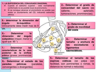 1
7
3
2
4
5
6
1.- LA SUFICIENCIA DEL CONJUGADO DIAGONAL
 Cuando el estrecho superior está normalmente
conformado no es posible tocar el promontorio.
 Si se consigue alcanzar el promontorio es posible que
exista un acortamiento del CD, indicando estrechez
pélvica.
2.- Determinar el grado de
concavidad del sacro (es
saliente, aplanado,
tumoraciones, prominencias).
3.- Determinar el
grado de movilidad
del coxis
4.- Determinar el
tamaño y anchura de
las escotaduras y
ligamentos
sacrociáticos.
5.- Determinar el tamaño de las
espinas ciáticas (se palpa con
facilidad, son pominentes o romas, la
distancia es normal o reducida)
6.- Determinar el estado de las
paredes pélvicas (paralelas,
convergentes o divergentes)
7.- Determinar las
características de la cara
posterior de la sínfisis
púbica (gruesa, prominencias
óseas)
8.- Determinar la
dimensión del ángulo
subpúbico (mayor, menor o
igual que 90 °)
9.- determinar la dimensión del
ángulo bi-isquiático .
Clínicamente debe medir mas de 8
cm.
 