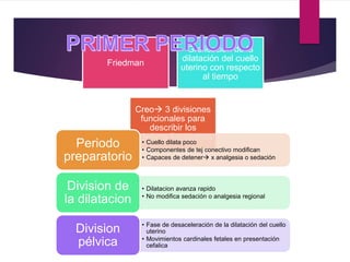 Friedman
Graficacion de la
dilatación del cuello
uterino con respecto
al tiempo
Creo 3 divisiones
funcionales para
describir los
objetivos fisiológicos
• Cuello dilata poco
• Componentes de tej conectivo modifican
• Capaces de detener x analgesia o sedación
Periodo
preparatorio
• Dilatacion avanza rapido
• No modifica sedación o analgesia regional
Division de
la dilatacion
• Fase de desaceleración de la dilatación del cuello
uterino
• Movimientos cardinales fetales en presentación
cefalica
Division
pélvica
 
